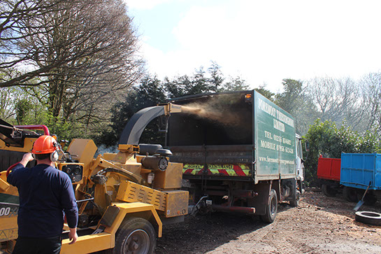 Wood Chipper - Foremost Treesurgeons Ltd